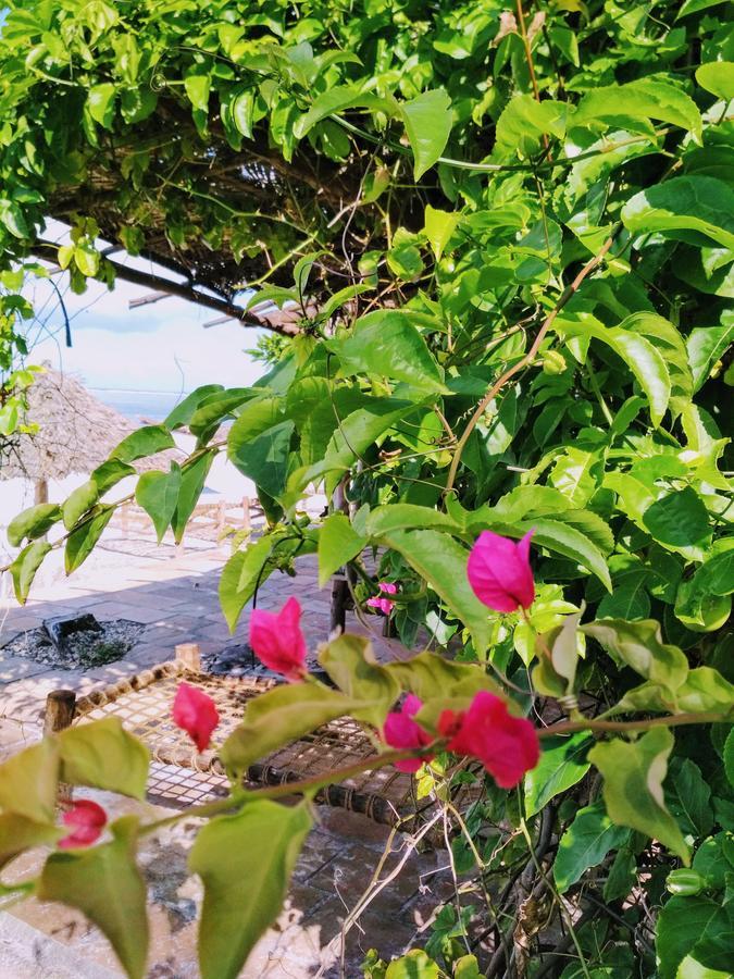 Panga Chumvi Beach Resort มาเทมวu ภายนอก รูปภาพ